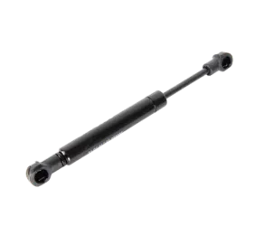 Parking Brake Gas Spring